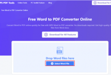 5-most-accurate-word-to-pdf-conversion-tools-for-students-and-teachers